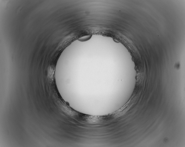 X0000098170142200805151126