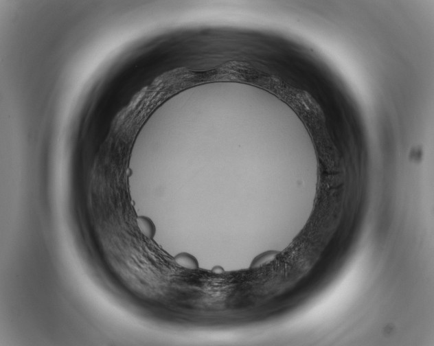 X0000098170143200805151125