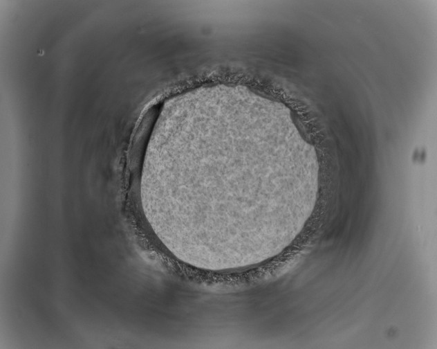 X0000098170144200805151125