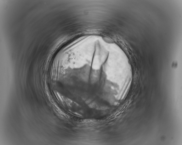 X0000098170145200805151125