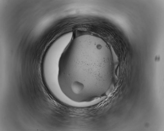 X0000098170146200805151125