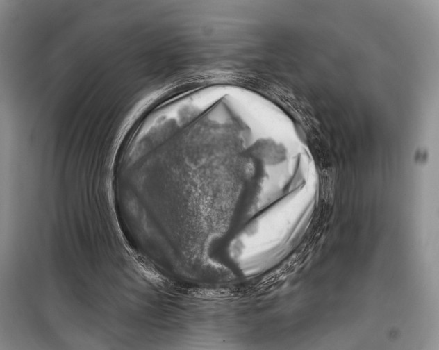 X0000098170147200805151125