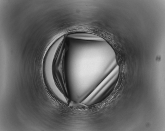 X0000098170148200805151125