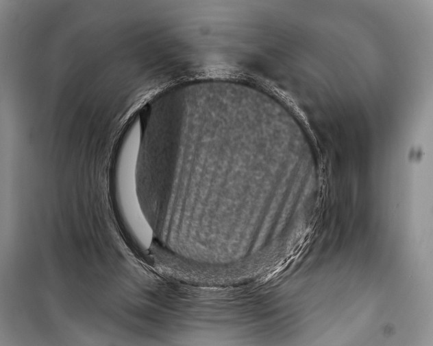 X0000098170154200805151125