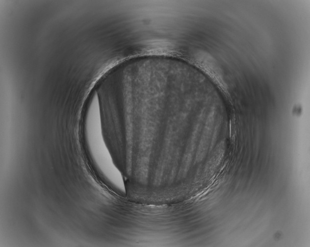 X0000098170156200805151125