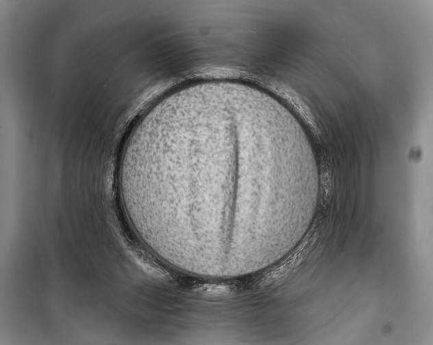 X0000098170159200805151125