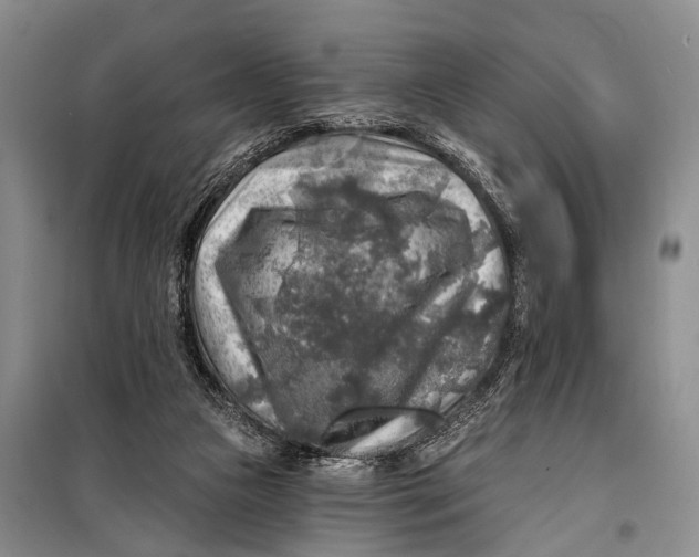 X0000098170161200805151125