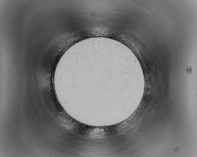 X0000098170162200805151125