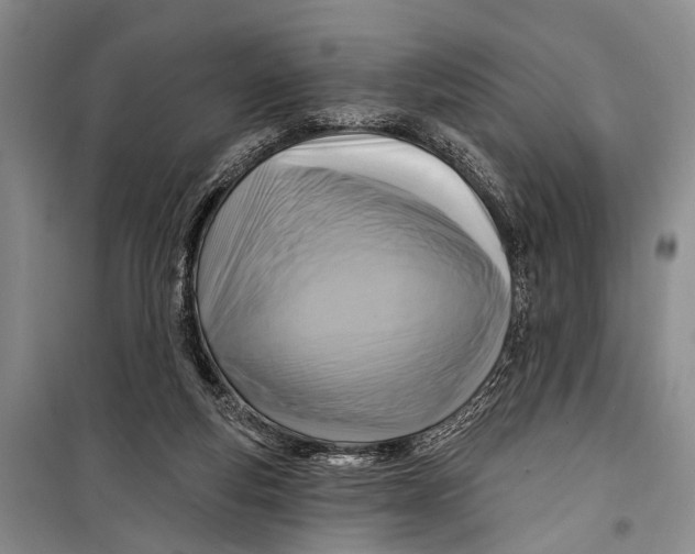 X0000098170163200805151125