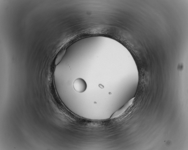 X0000098170164200805151125