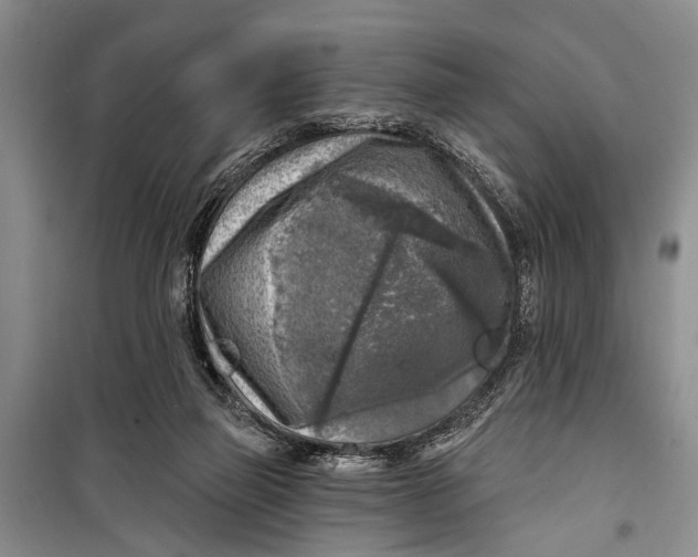 X0000098170165200805151125