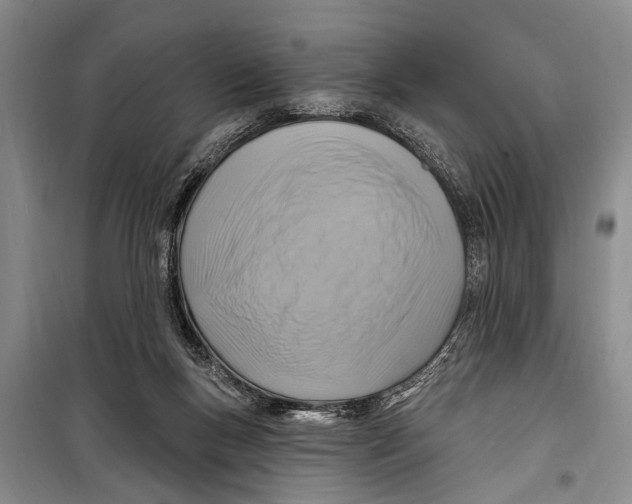 X0000098170167200805151125