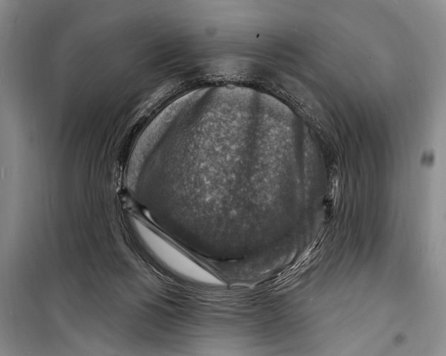 X0000098170168200805151125