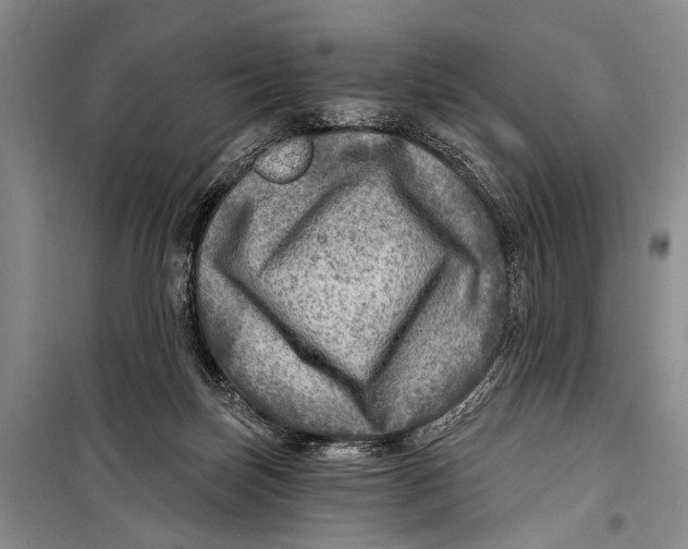 X0000098170171200805151125