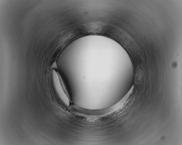 X0000098170172200805151125