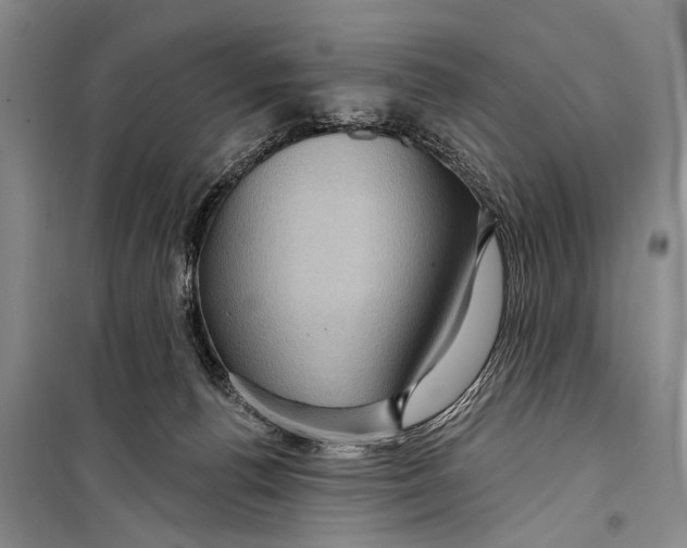 X0000098170176200805151125