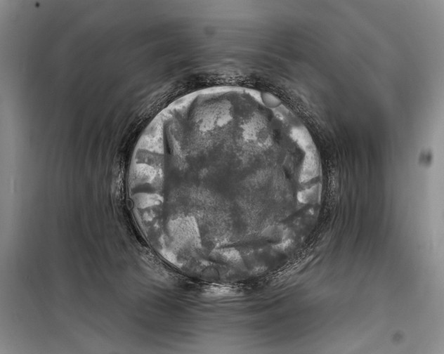 X0000098170177200805151125