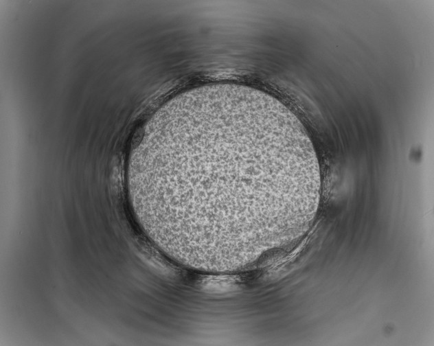 X0000098170179200805151125