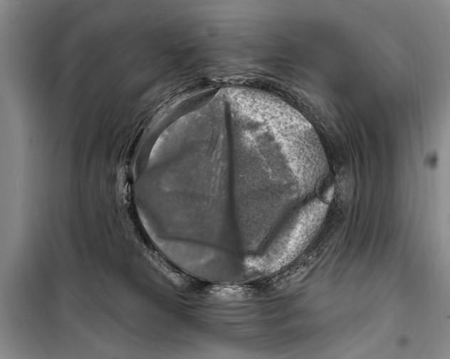 X0000098170181200805151125