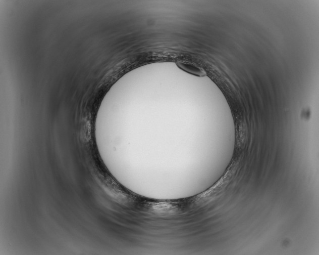 X0000098170183200805151125