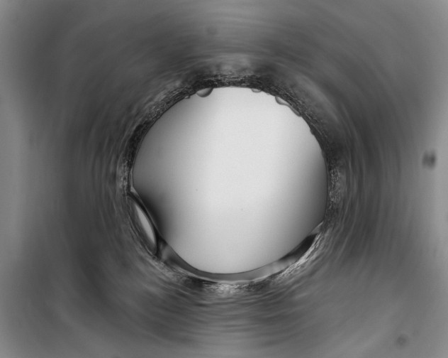 X0000098170184200805151125