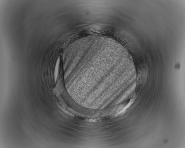 X0000098170186200805151125