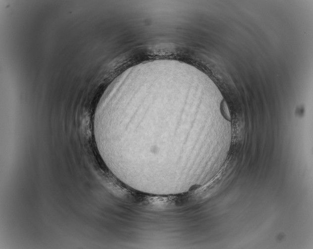 X0000098170187200805151125