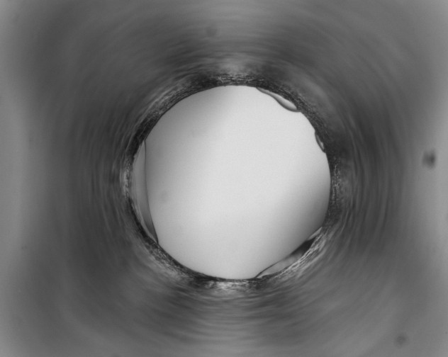 X0000098170188200805151125