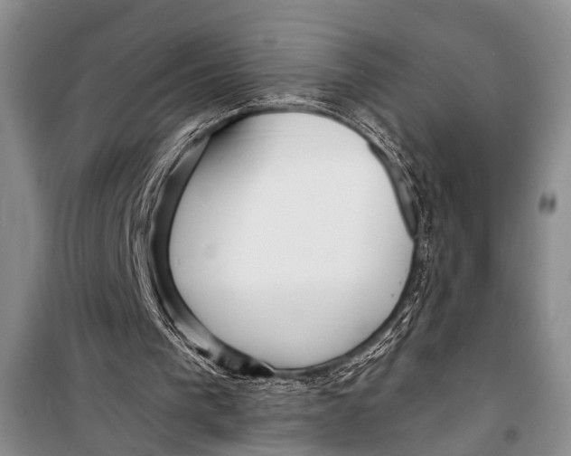 X0000098170193200805151125