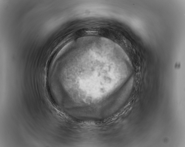 X0000098170194200805151125