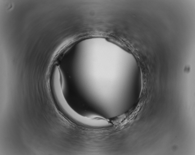 X0000098170197200805151125