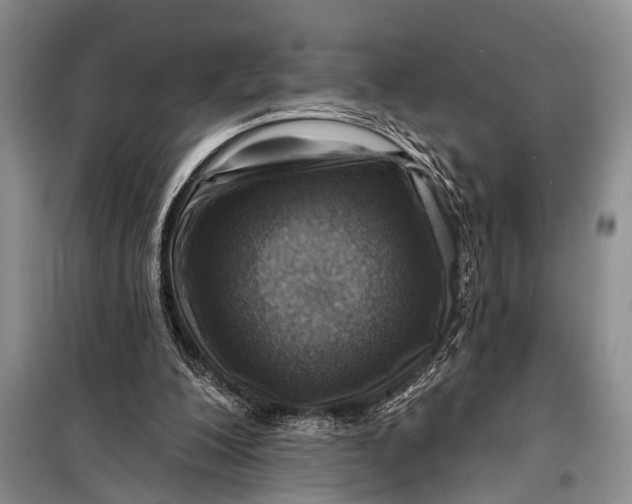 X0000098170200200805151125