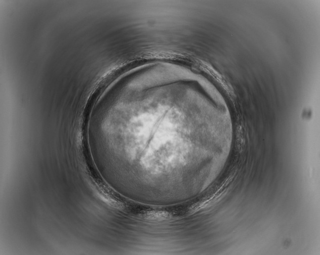 X0000098170203200805151124