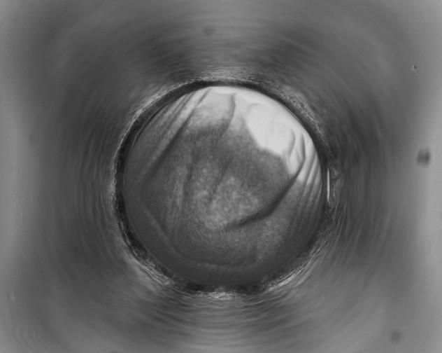 X0000098170204200805151124