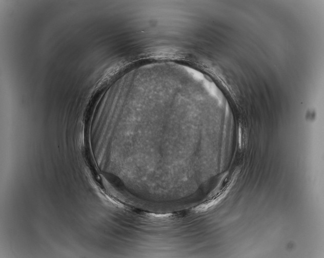 X0000098170205200805151124