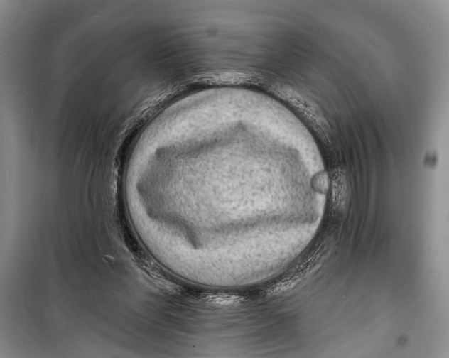 X0000098170206200805151124