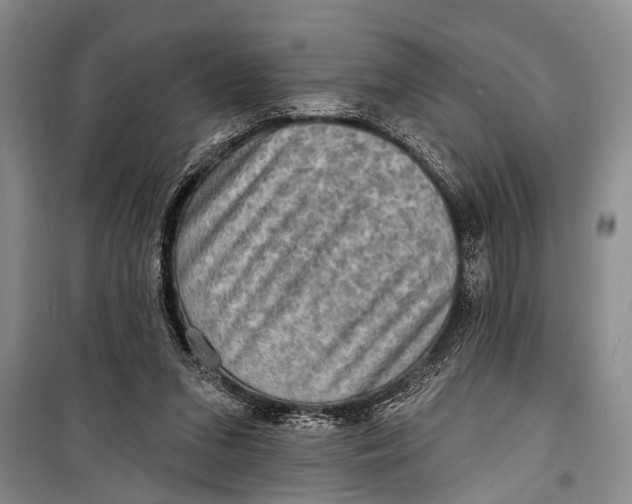 X0000098170207200805151124