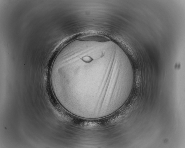 X0000098170208200805151124