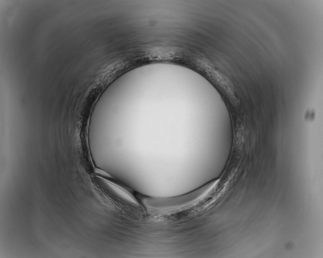 X0000098170209200805151124