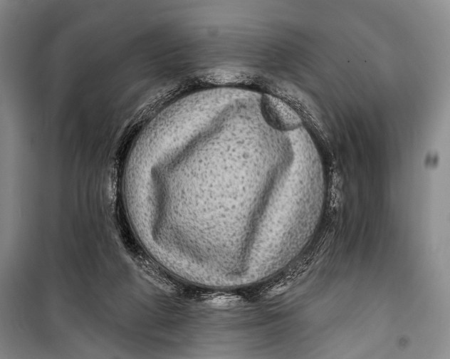 X0000098170210200805151124