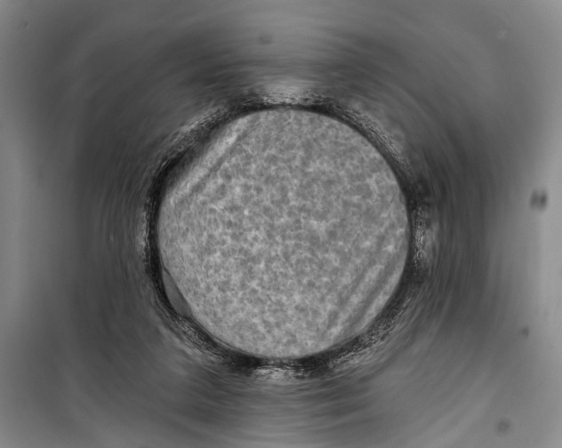 X0000098170211200805151124