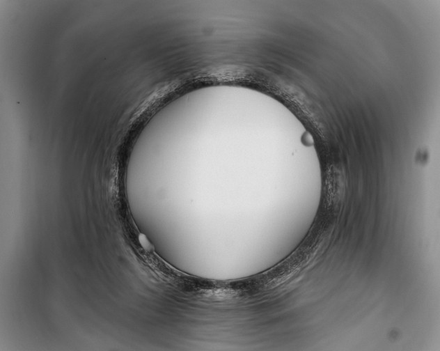 X0000098170212200805151124