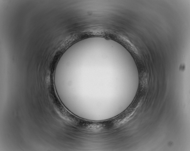 X0000098170213200805151124