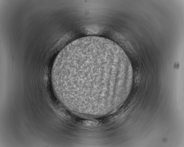 X0000098170215200805151124