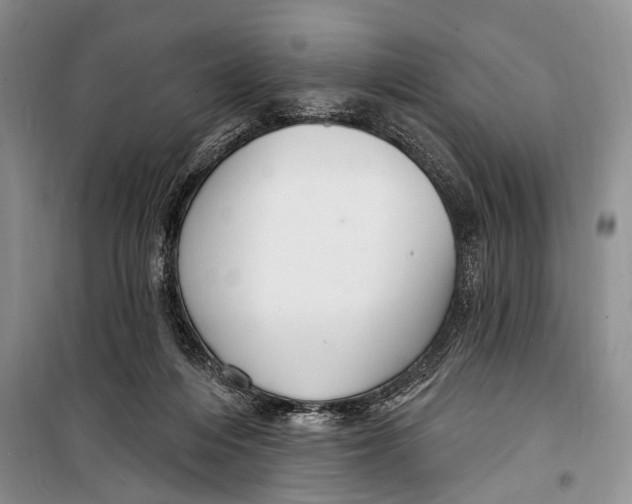 X0000098170216200805151124