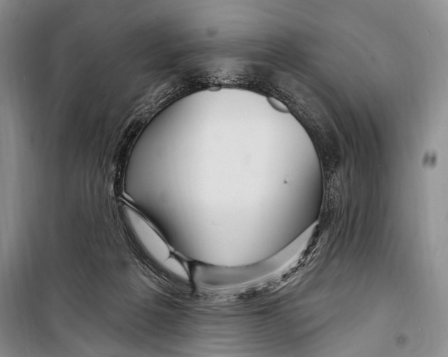 X0000098170217200805151124