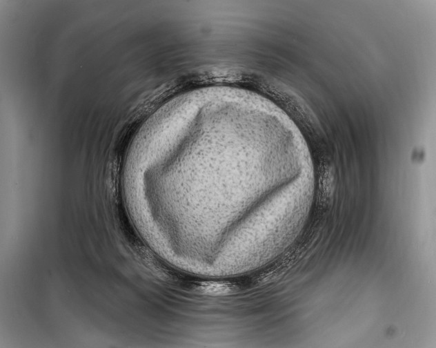 X0000098170218200805151124