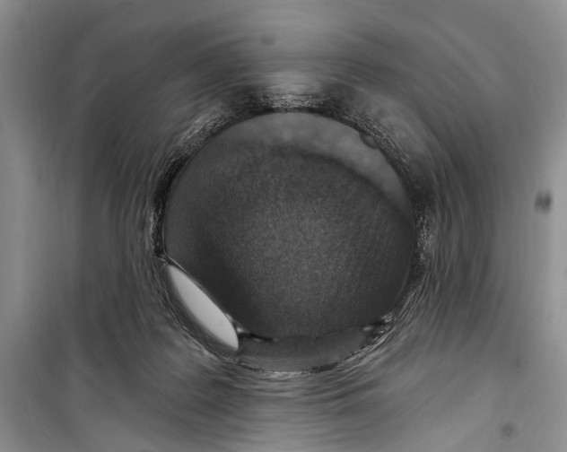 X0000098170219200805151124