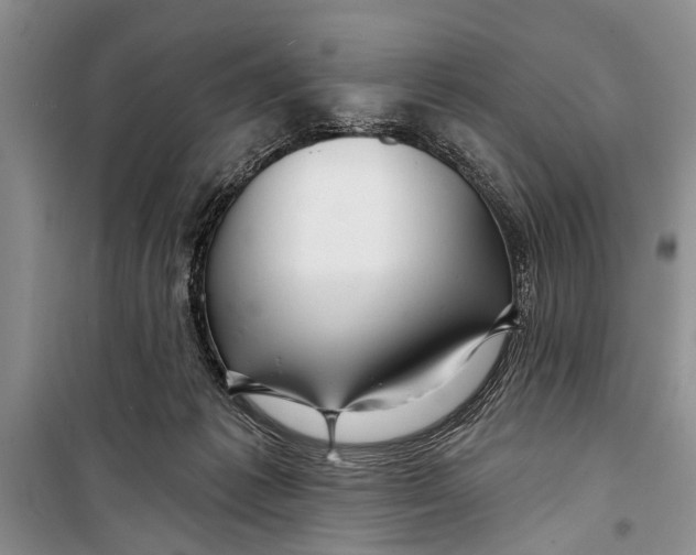 X0000098170221200805151124