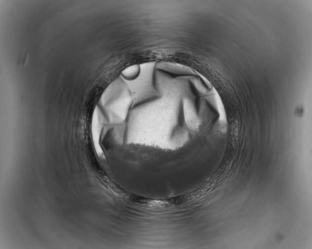 X0000098170222200805151124